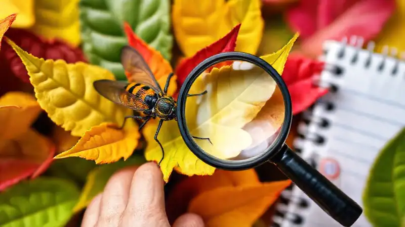 Insectos coloridos en un entorno educativo