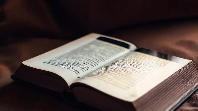 Libro antiguo digitaliza una mirada serena